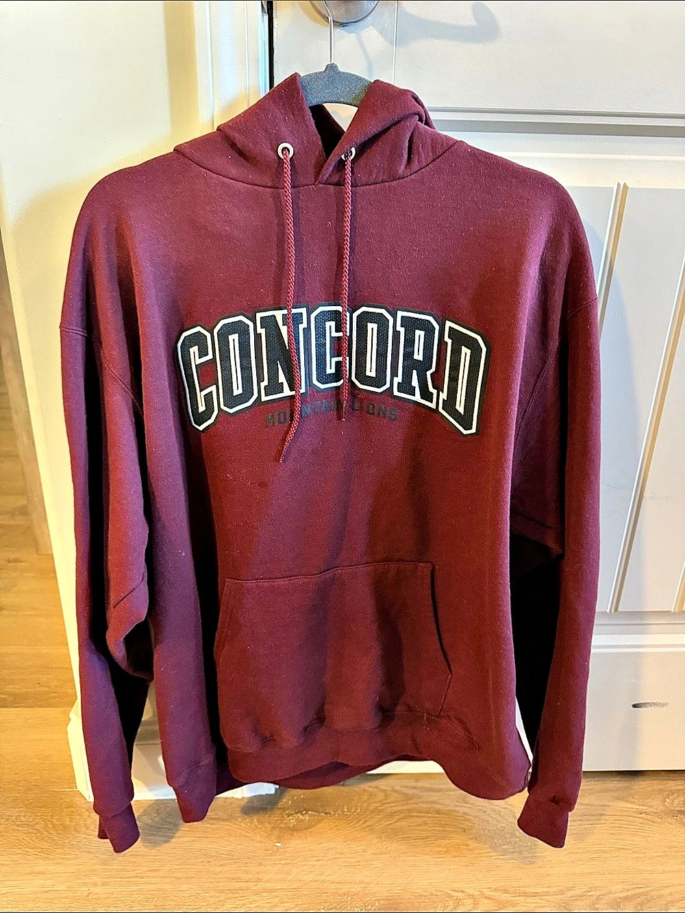 Champion Men's Burgundy Pullover Hoodie Size XL